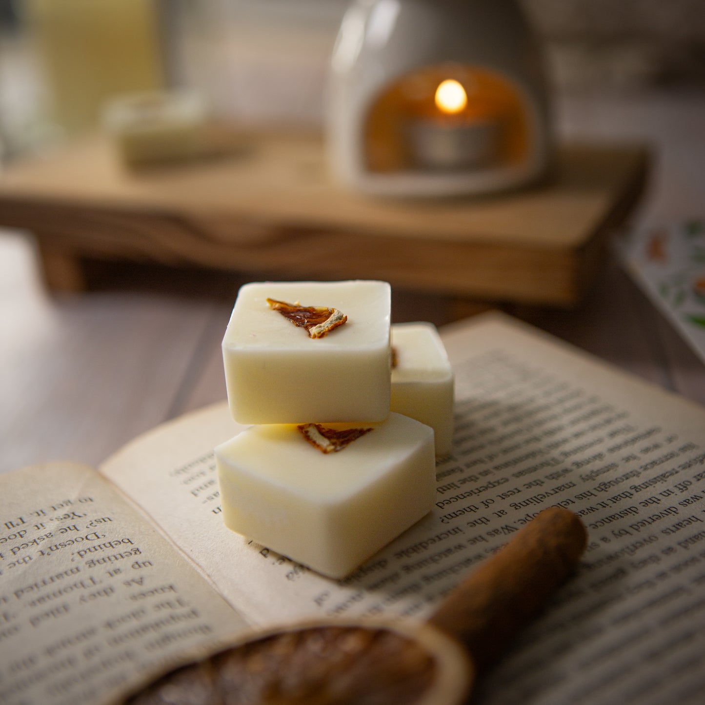 Citrus & Spice Wax Melt